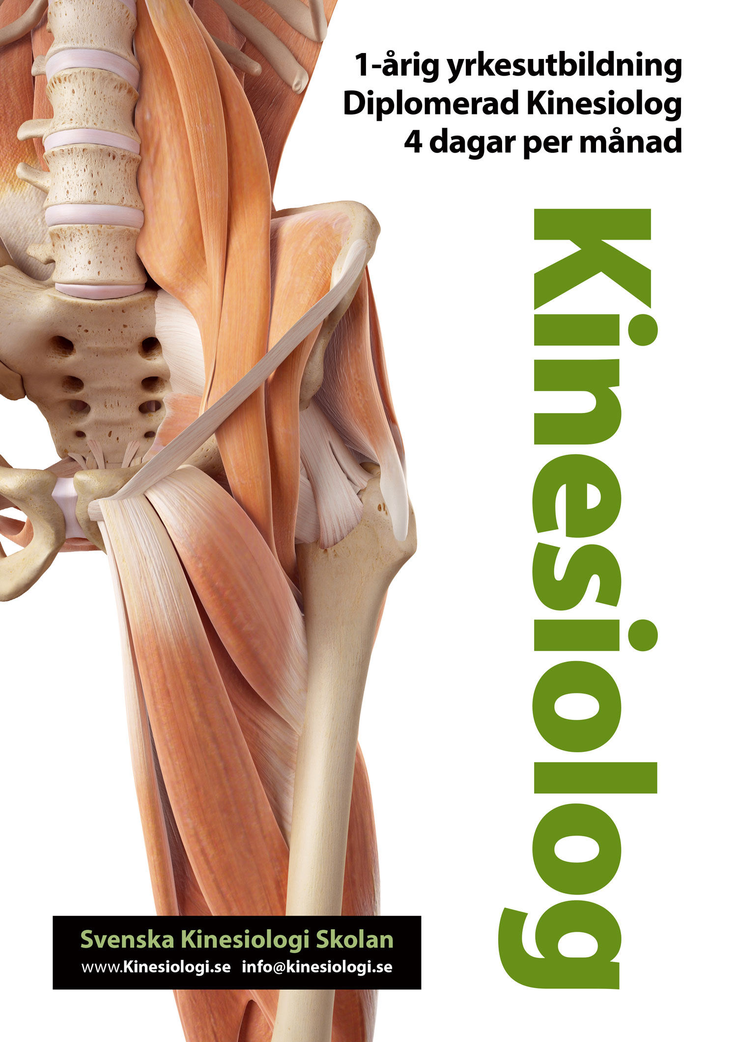  Kinesioterapi och Kinesiologi från Svenska Kinesiologi Skolan 