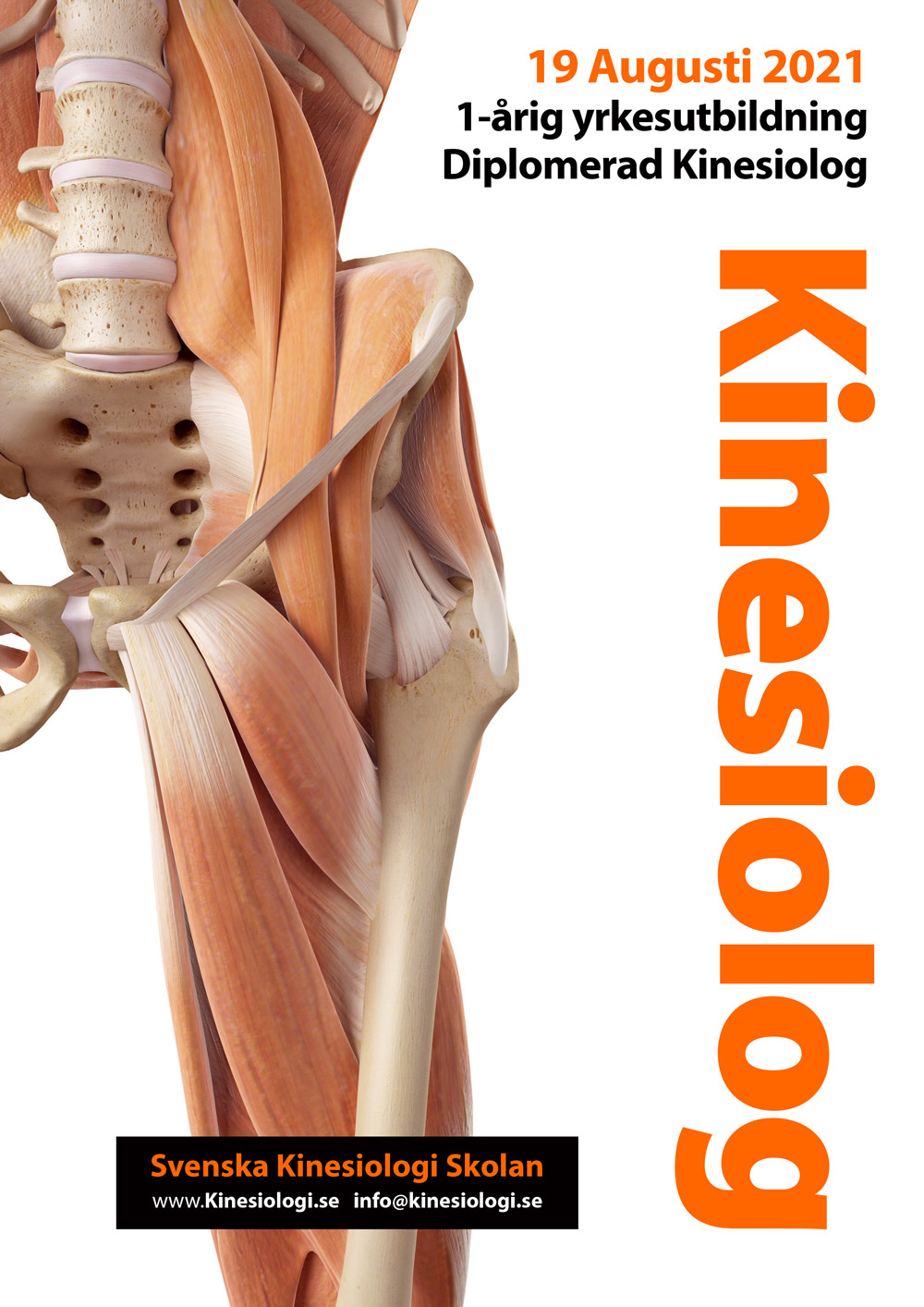 Kinesioterapi och Kinesiologi från Svenska Kinesiologi Skolan Kinesioterapi och Kinesiologi från Svenska Kinesiologi Skolan